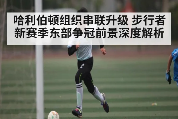 哈利伯顿组织串联升级 步行者新赛季东部争冠前景深度解析
